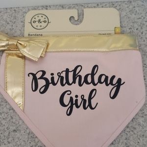 Small Dog Birthday Girl Bandana